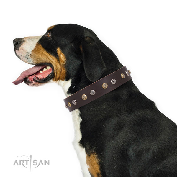 Swiss Mountain Dog studded leather dog collar with decorations