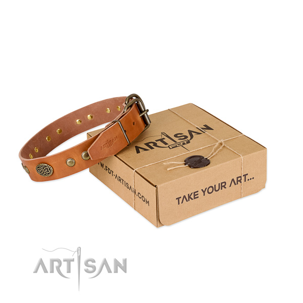 Stylish tan leather dog collar with decorations
