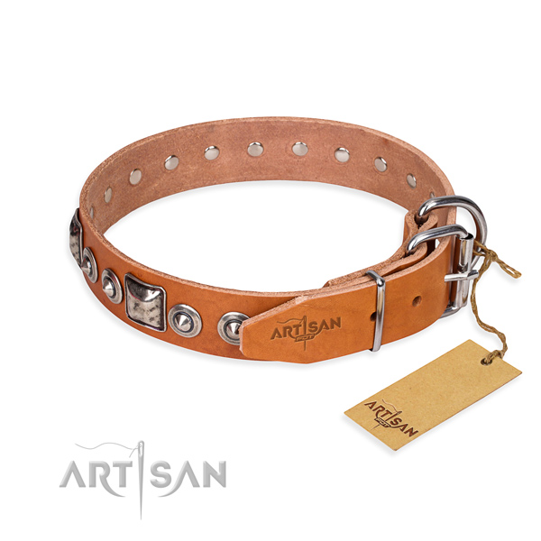 Tan leather dog collar with reliable fittings