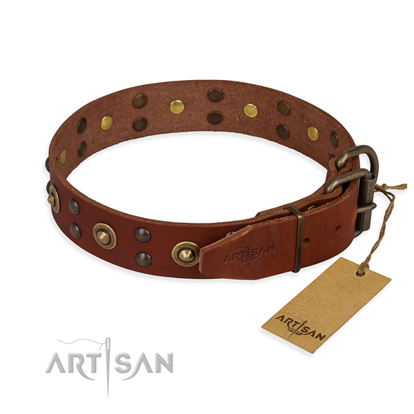 Tan leather dog collar with sturdy fittings