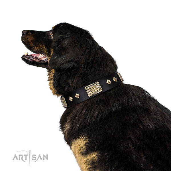 Tibetian Mastiff easy wearing dog collar of fine quality leather