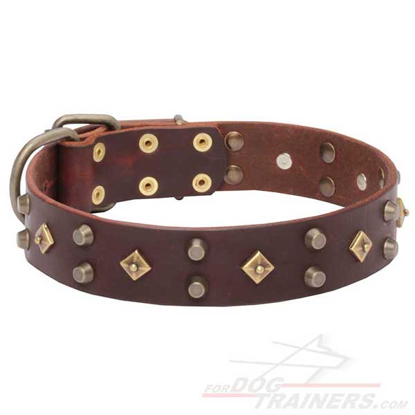 Walking Leather Dog Collar with riveted decorations