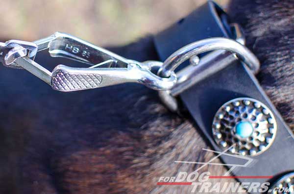 Rust proof nickel fittings for decorated leather collar for Pitbull