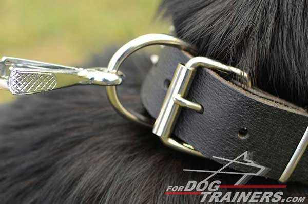 Durable D-Ring and Buckle Made of Steel Coated With Nickel for Corrosion Resistance