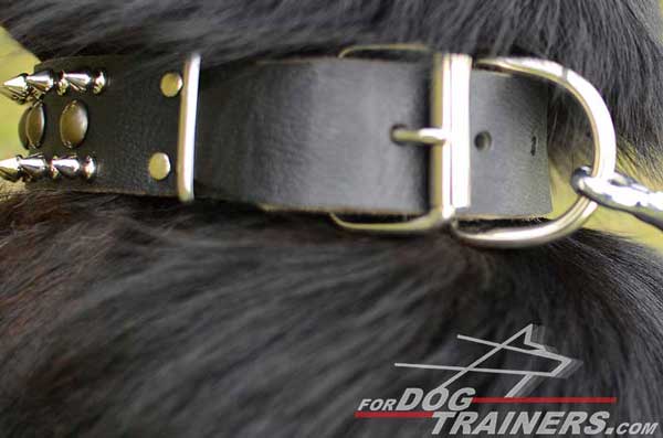 Strong D-Ring Metal Element Designed for Proper Leash Connection