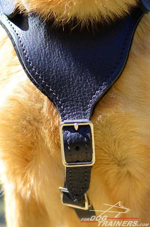 Nickel Plated Buckle of Leather German Shepherd Harness