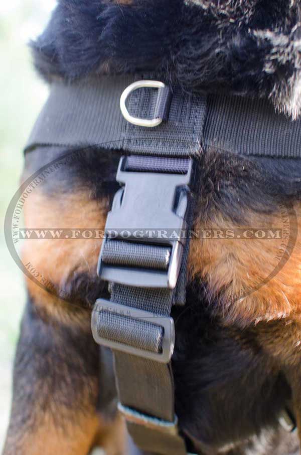 Nylon harness with plastic quick release buckle