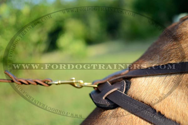 Firm D-Ring of Leather Bullmastiff Harness