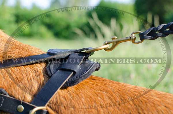 Strong Back Plate of Leather Dog Harness