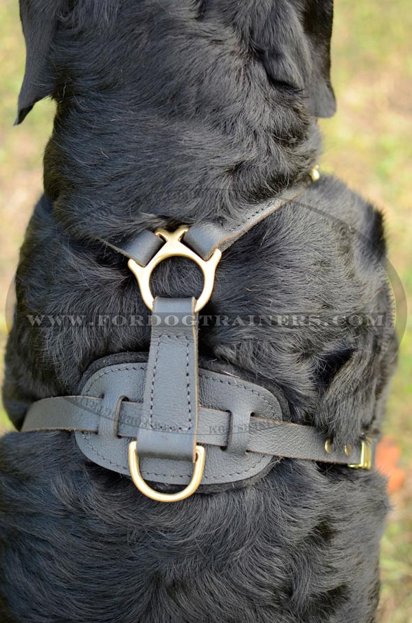 Easy tracking leather harness with non-rubbing back plate