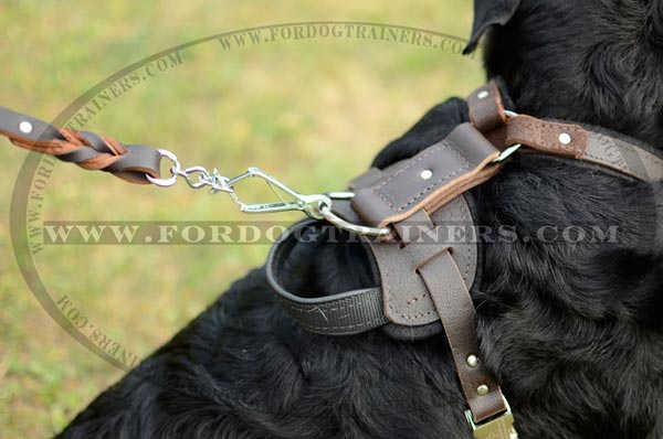 Dog harness with felt padded back plate