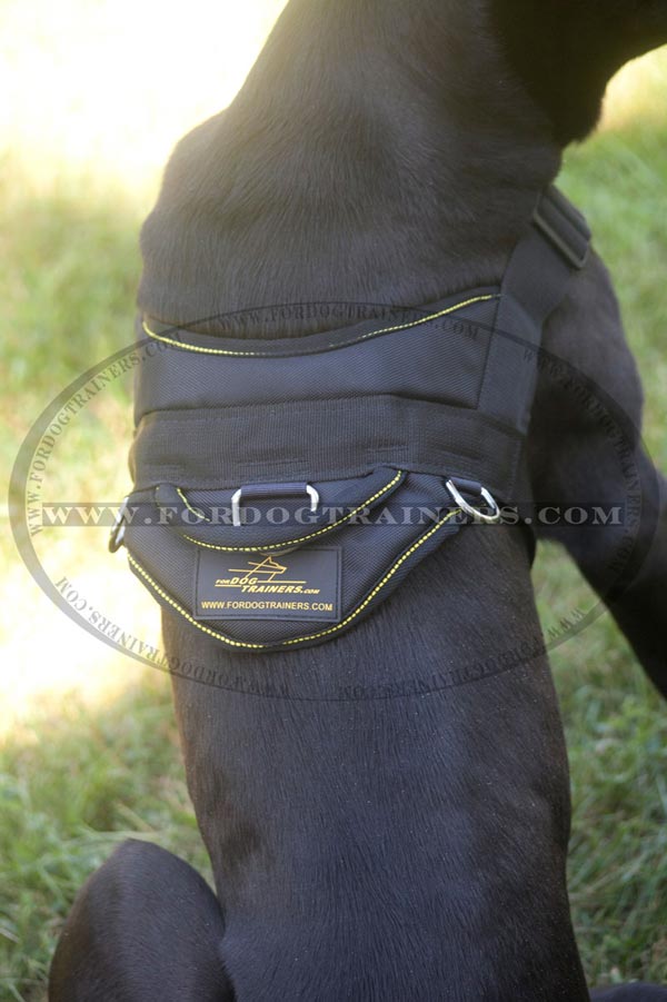 Dog harness with handle for better control