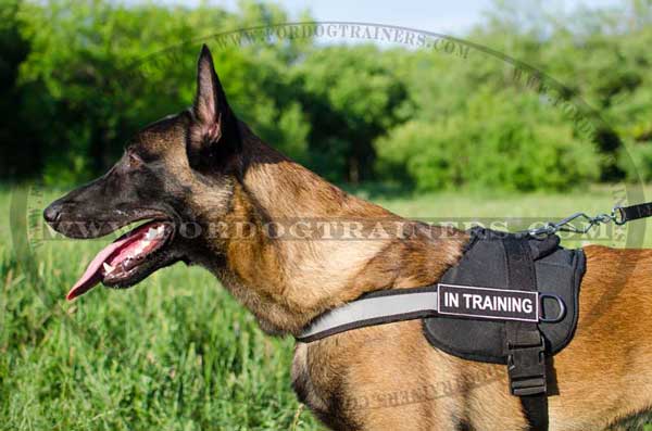 Water-resistant nylon Malinois harness