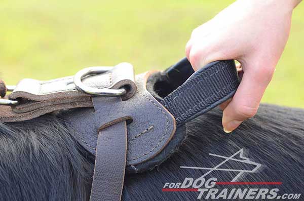 Durable Training Handle of German Shepherd Harness Leather Dog Walking