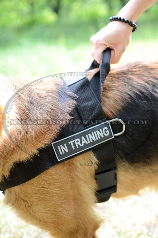 Durable Handle on Nylon German Shepherd Harness with ID Patches