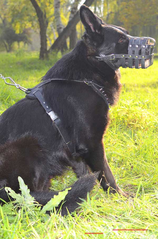 Spikes Decorated German Shepherd Harness Leather Adjustable