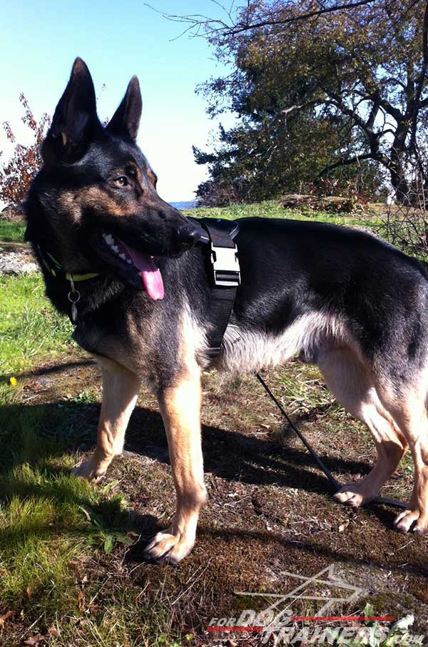 Tracking German Shepherd Harness Nylon with Quick Release Buckle