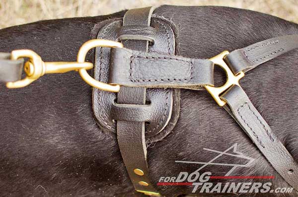 Rust proof brass fittings for leather Doberman harness
