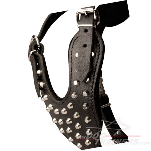 Exquisite Leather Dog Harness with Studded Chest Plate