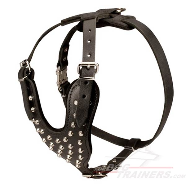 Soft and Strong Leather Cane Corso Harness