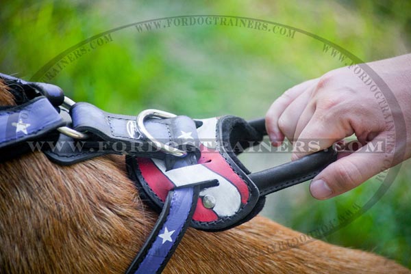 Stylish leather dog harness with buckle and D-ring