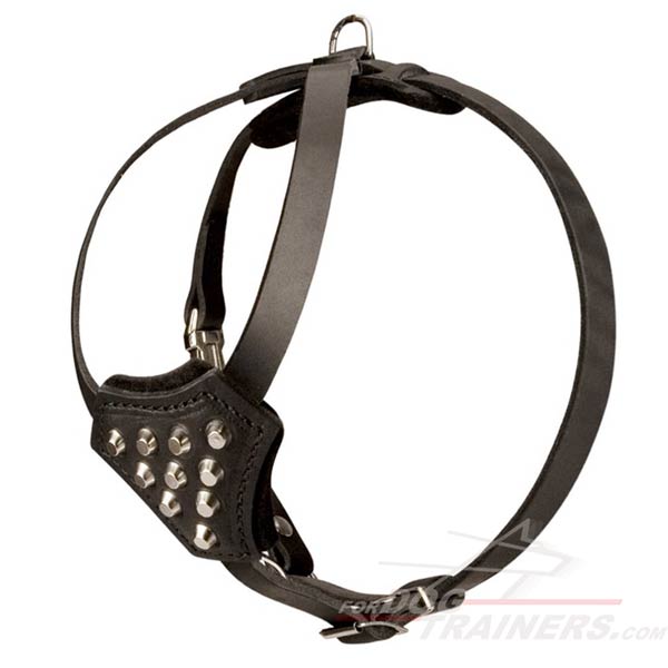 Leather Canine Harness Handmade Duly Stitched