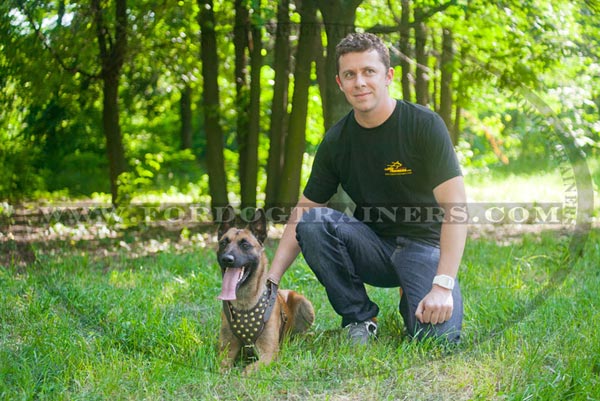 Tear-proof leather harness for Malinois walking