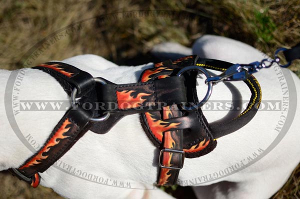 D-Ring Nickel Plated on Painted Dog Harness Leather