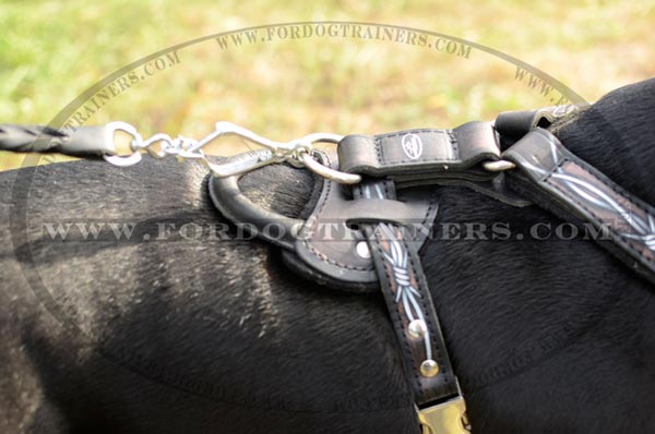 Strong Hardware on Leather Pitbull Harness