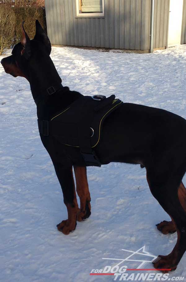 All Weather Nylon Dog Harness for Doberman