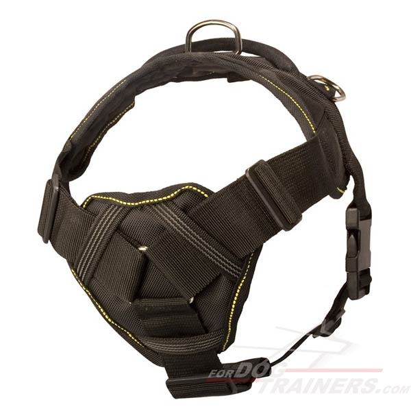Dog harness with comfortable chest plate for Amstaff