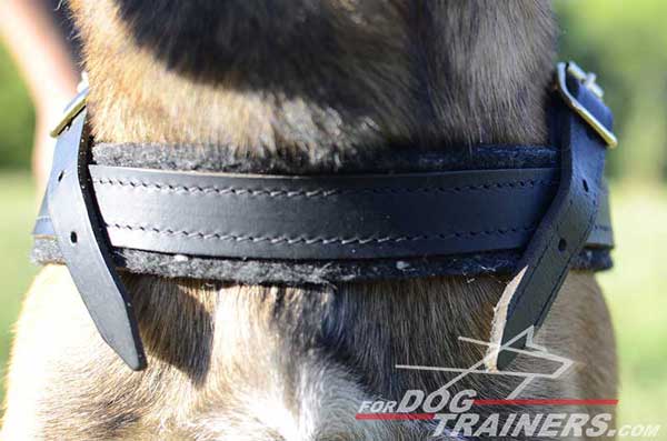 Soft Chest Strap of Leather Belgian Malinois Harness