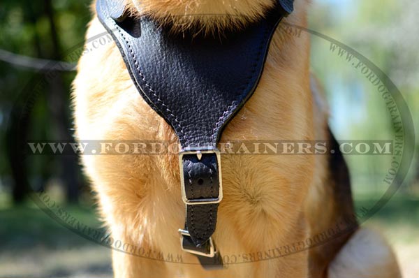 Padded Leather Chest Plate of Training Leather German Shepherd Harness