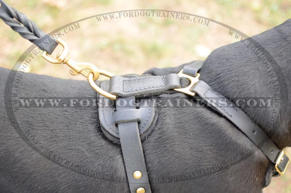 Securely stitched top D-ring for leash attachment