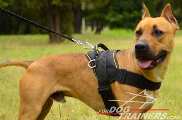 Strong nylon Pitbull harness for pulling