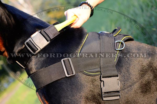 Side D-Rings and Durable Buckle of Adjustable Nylon Doberman Harness