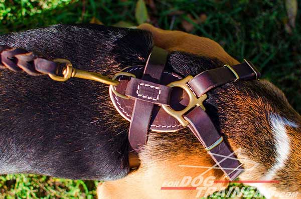 Leather Dog Harness Brown Made So As To Fit The Body Correctly