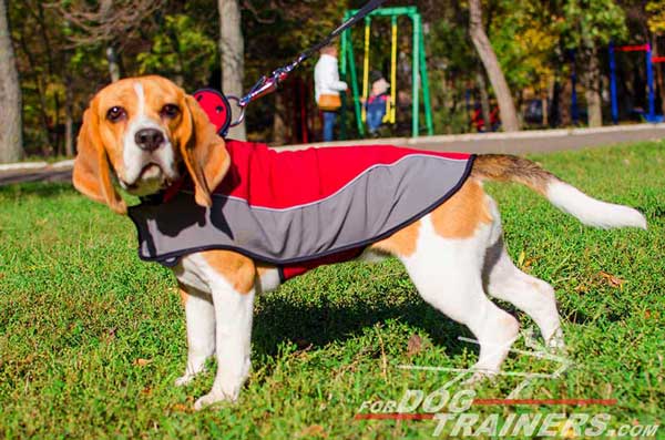 Red-Grey Nylon Beagle Harness for Walking in Cold Season