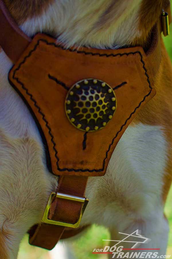 Tan Leather Chestplate Neatly Cut with Decoration in The Center