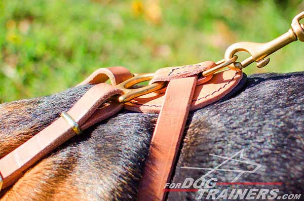 Tan Dog Harness Leather Correctly Designed To Create Maximal Comfort for the Pet