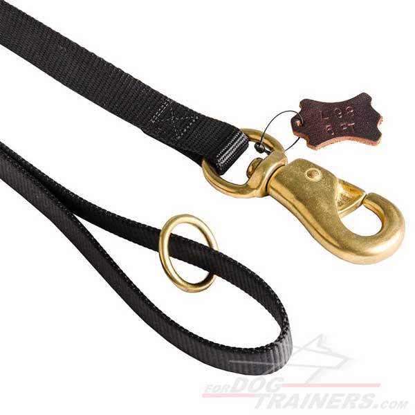 Durable Handle on Nylon Dog Lead