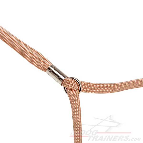 Stopper and ring on dog show lead leash set