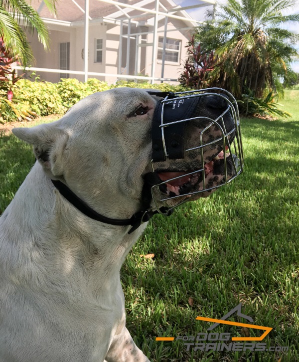 Cage Style Dog Muzzle - Well ventilated Design