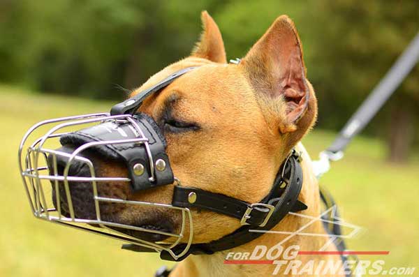 Soft nose padded wire basket muzzle for Pitbull