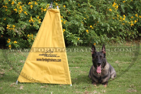 World-class Schutzhund Blind for puppies