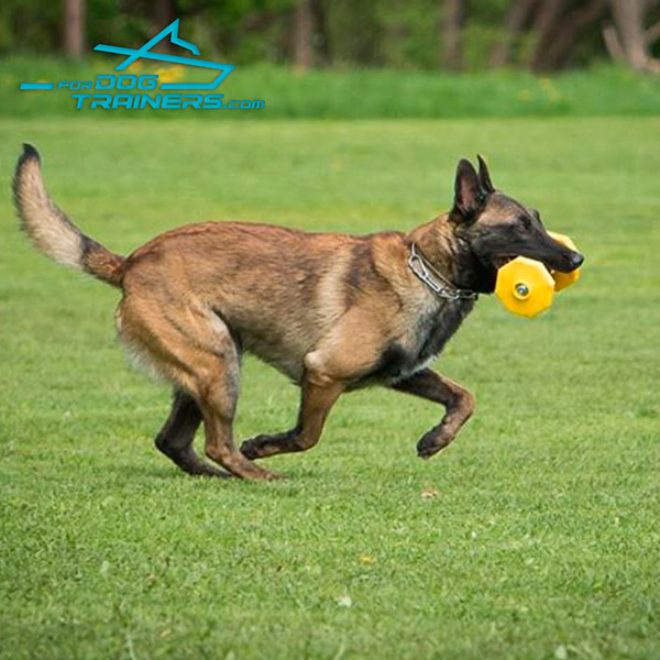 Schutzhund Dog Training Dumbbell with Yellow Polimeric Plates