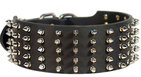 Brass Spikes on Adjustable Leather Cane Corso Collar