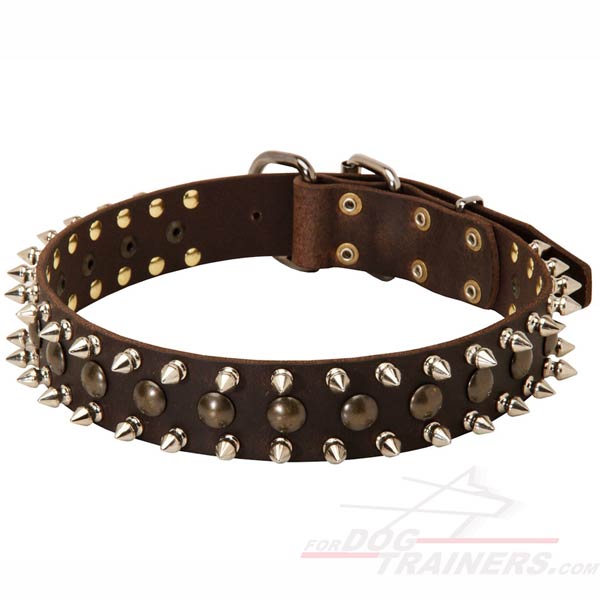 Fancy design of dog collar