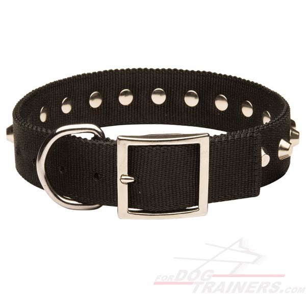 All Weather Nylon Dog Collar