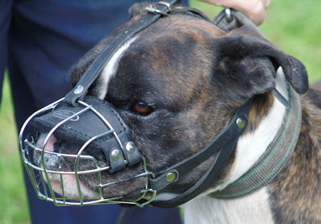 Dean and tyler clearance muzzle